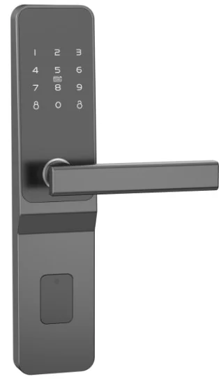2063Password TTLock Voice Security Door Keypad Lock