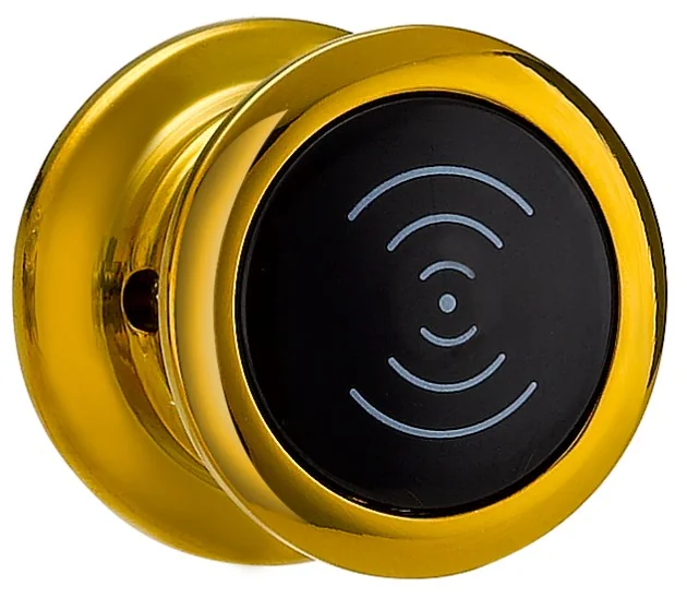 EM115 Zinc Alloy Locker RFID Lock in Silver or PVD Gold