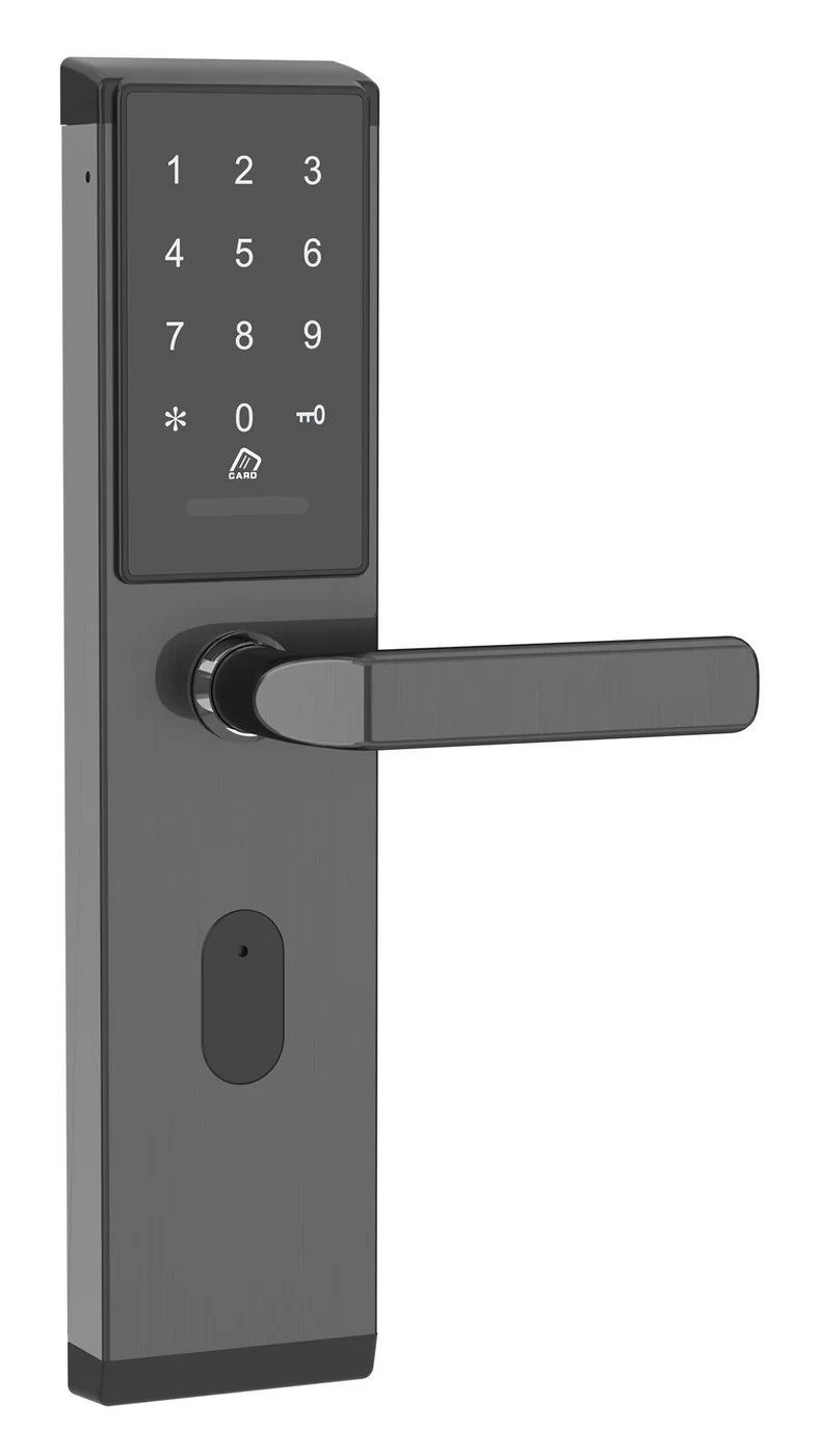 2017Password APP-Y Voice Keypad TTLock Security Door Lock
