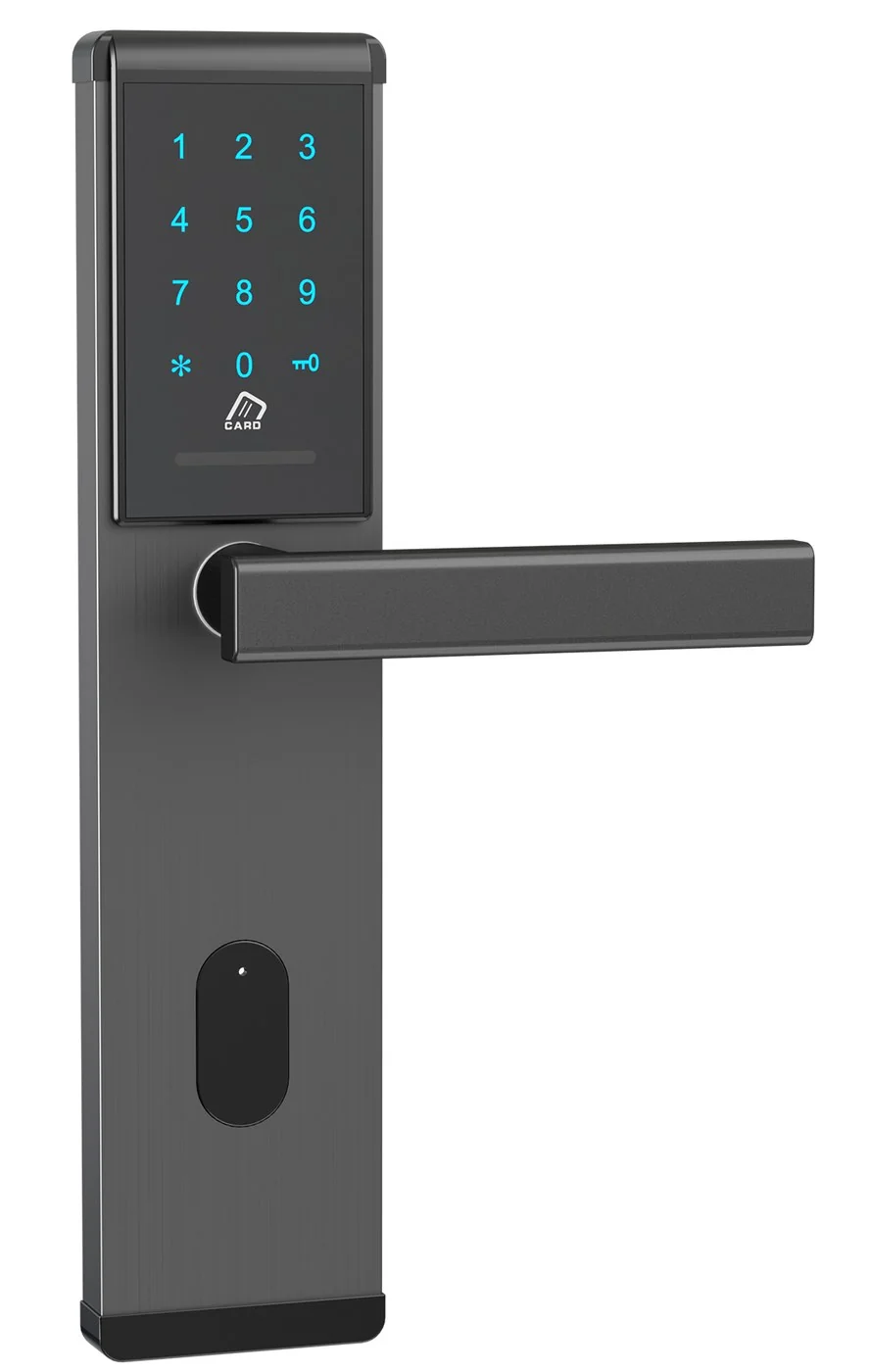 2023Password TTLock Hotel Keypad Lock with Voice Keypad