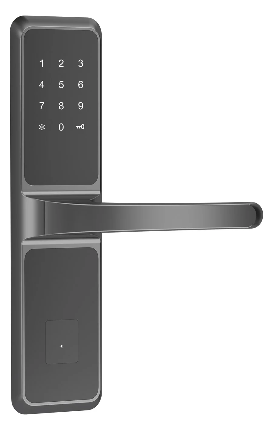 2025Password TTLock Hotel Keypad Lock in Gunmetal or Silver