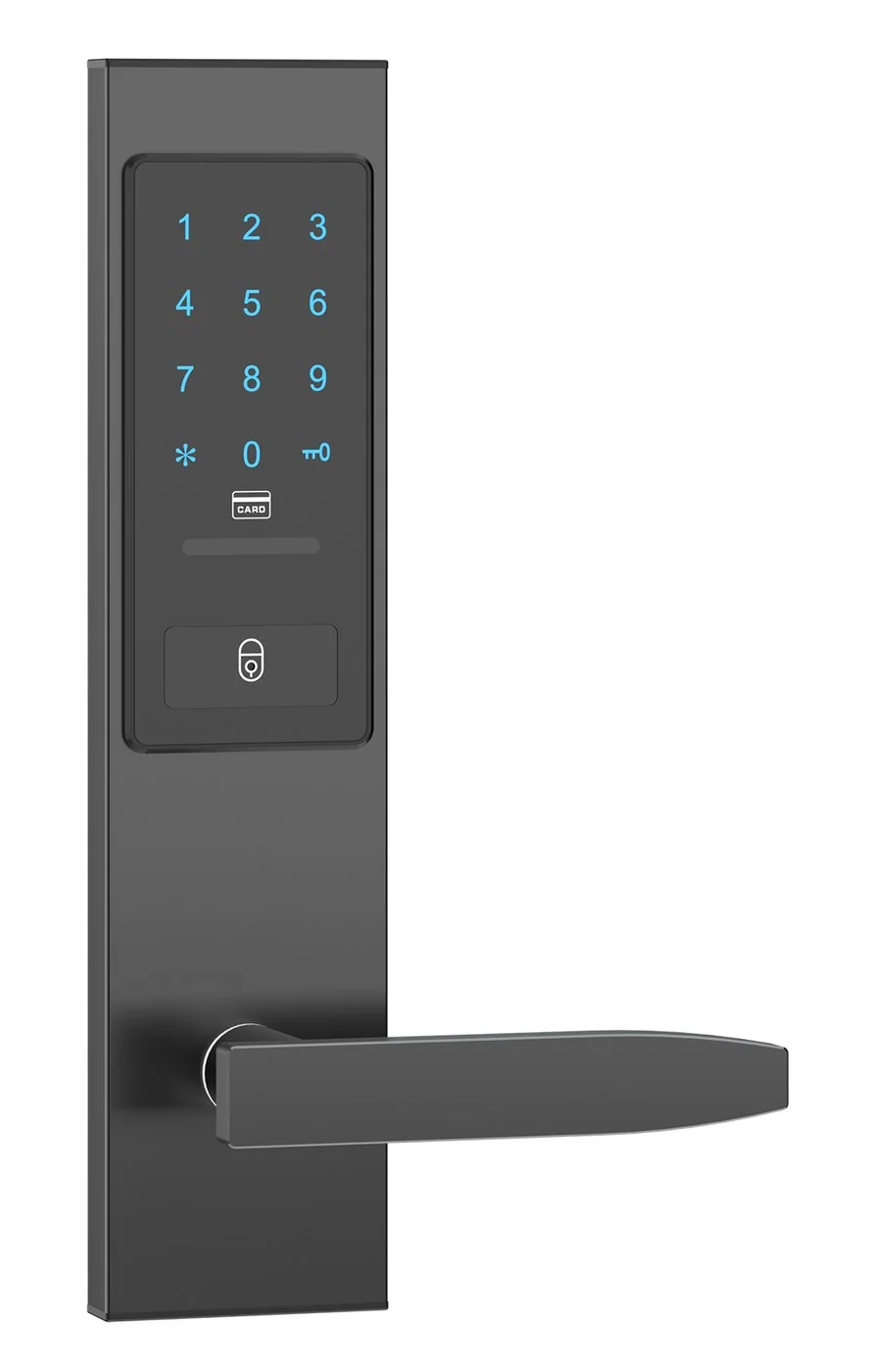 2037Password TTLock Voice Keypad Hotel Lock