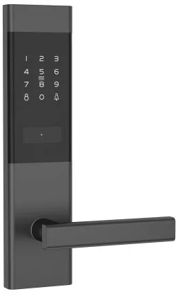 2062 TTLock Voice Hotel Keypad Lock with APP