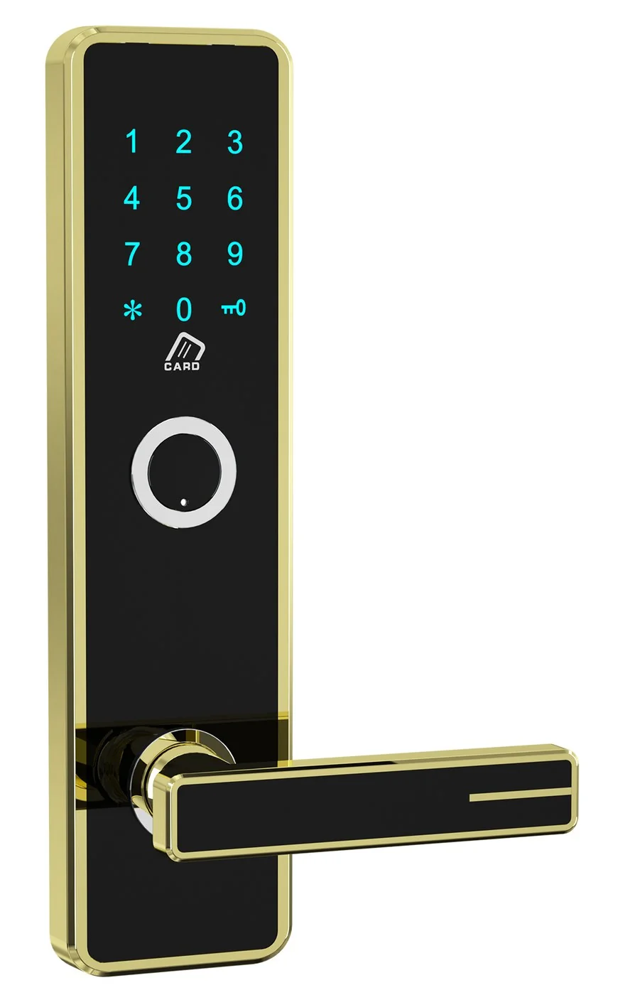 618Password APP-J TTLock Hotel Keypad Lock