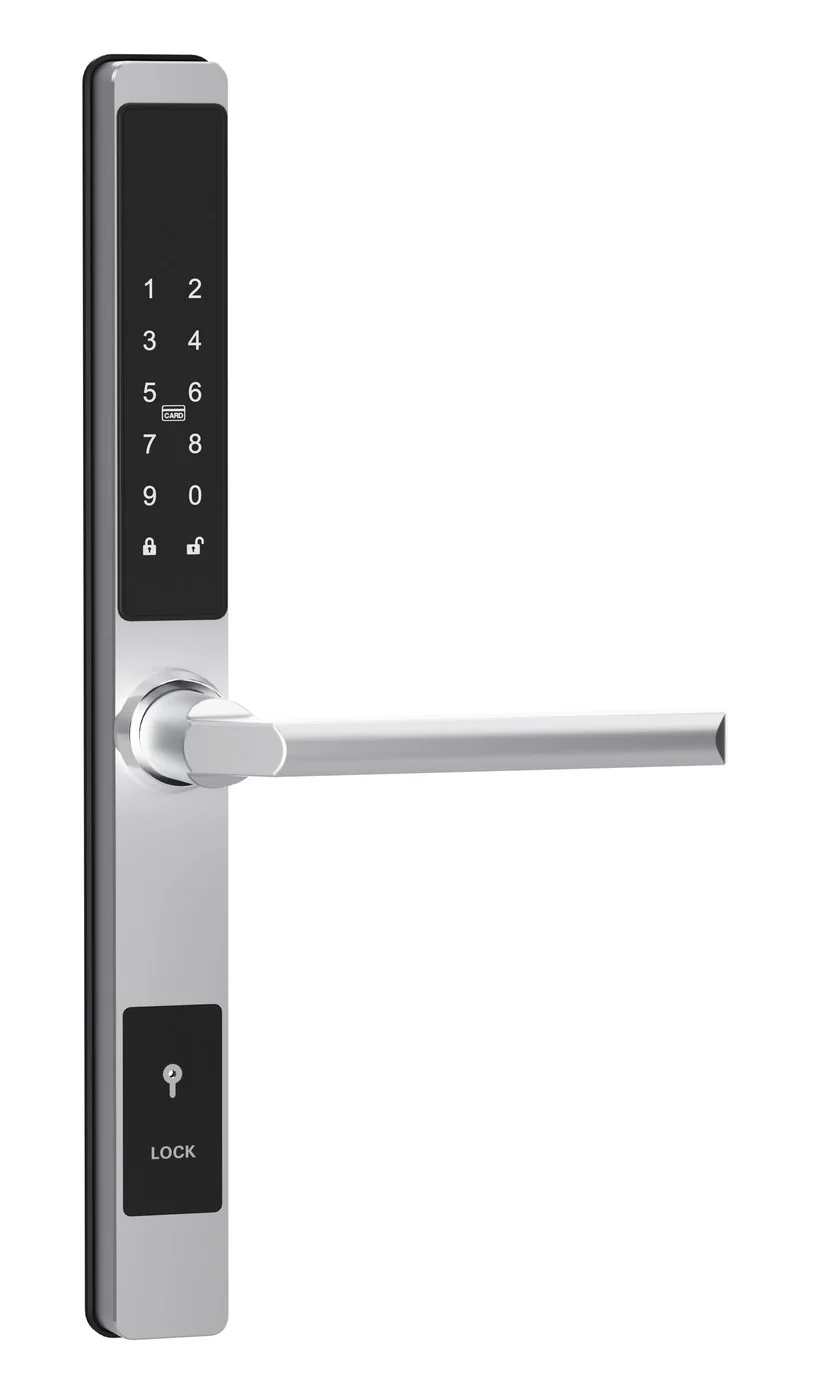 DQ Keypad Thermally Broken Aluminum Lock with Standalone or TTLock Solution