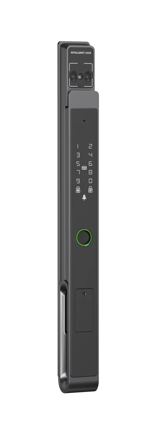 FDS Fully Automatic Face Palm Vein Thermally Broken Aluminum Lock with Digital Door Viewer