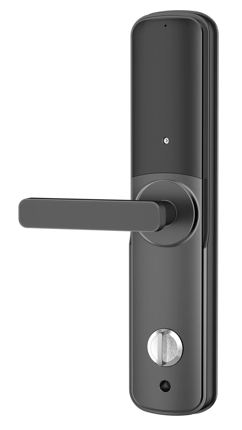 RX2066 TTLock Fingerprint Keypad Lock with Security 6068 Lock Body