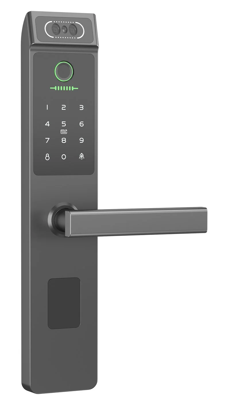 RX2067-L TTLock Face Recognition Fingerprint Lock