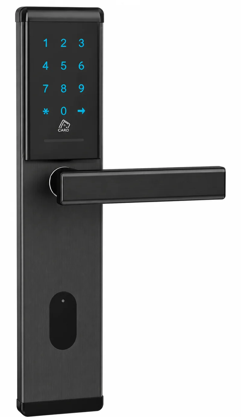 2023Password TTLock Voice Hotel Keypad Lock in Gunmetal